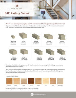 E4E Railing Series Image